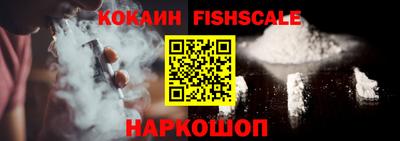 гашик Можга