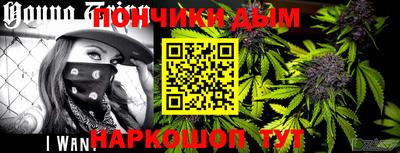 гашик Можга