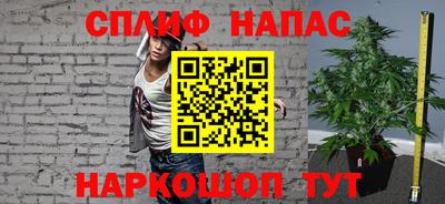 гашик Можга