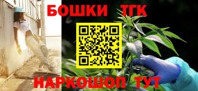 гашик Можга