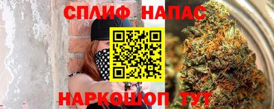гашик Можга