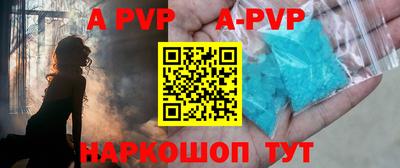 гашик Можга