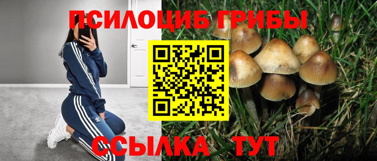 Галлюциногенные грибы мухоморы  Галлюциногенные грибы MAGIC MUSHROOMS  Вход с VPN  Тверь 